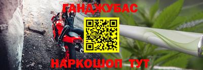 дживик Можга