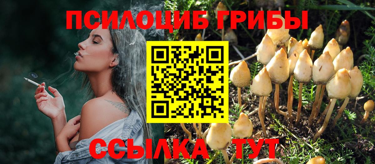 Славянск-на-Кубани  Галлюциногенные грибы ЛСД  Вход с VPN 
