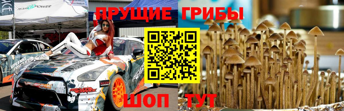 Галлюциногенные грибы мухоморы Славянск-на-Кубани